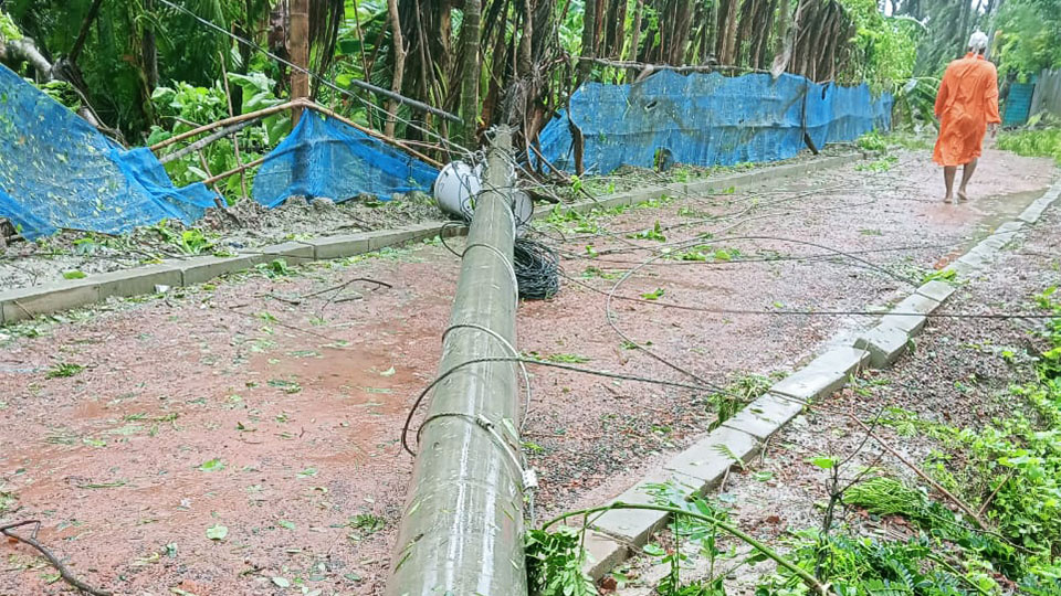 বাগেরহাটে রেমালের তাণ্ডবে উপড়ে পড়েছে বিদ্যুতের খুঁটি। ছবি : সকাল সন্ধ্যা