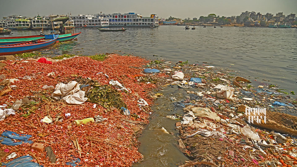 বুড়িগঙ্গায় ভেসে যাওয়া এমন আবর্জনা থেকে প্রয়োজনীয় জিনিসটি সংগ্রহ করা এখন অনেকেরই পেশা। সদরঘাটের শ্যামবাজার এলাকা থেকে তোলা ছবি।