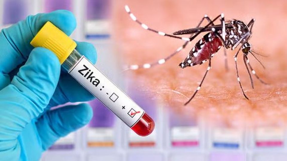 Zika