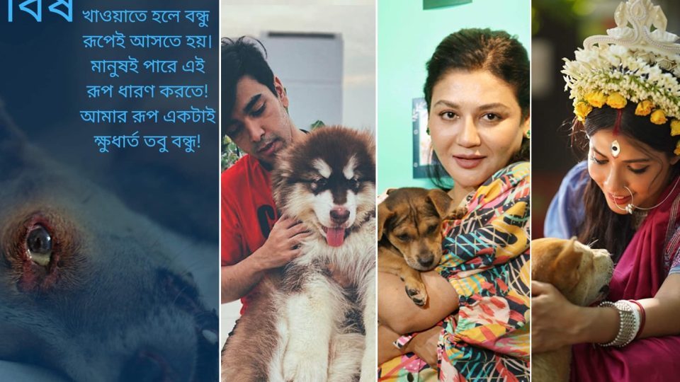 বিষ প্রয়োগে পশু হত্যায় সোশাল মিডিয়ায় প্রতিক্রিয়া জানান সালমান মুক্তাদির, জয়া আহসান এবং নওশাবাসহ শো-বিজ জগতের অনেকেই।