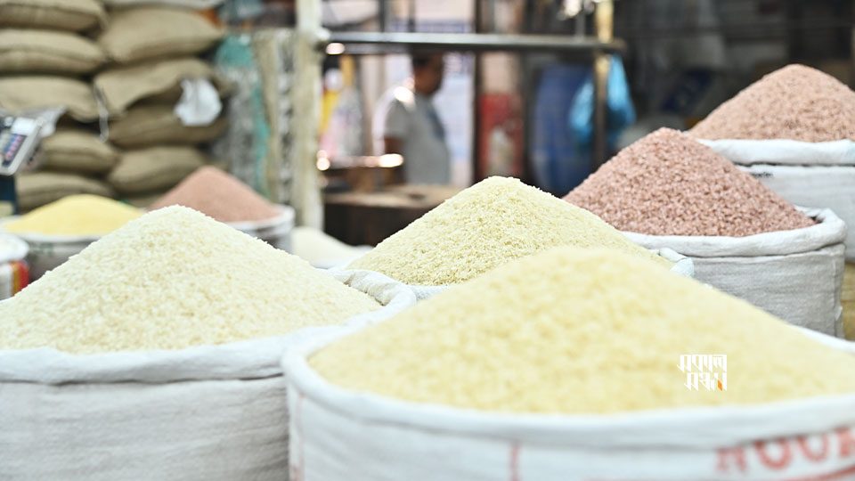 ss-rice-market-25102024