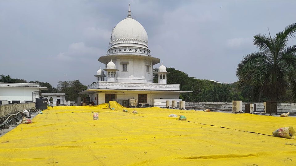 আপিল বিভাগ